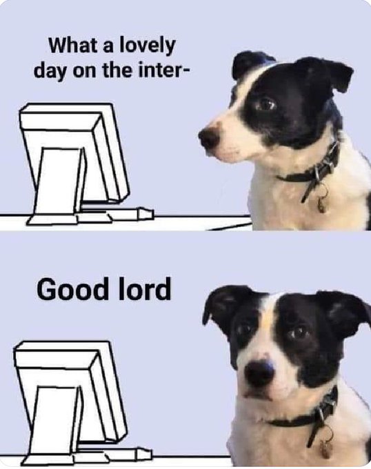 This meme features a dog sitting at a computer, looking at a screen with a puzzled expression. The text above the dog reads "What a lovely day on the internet..." and below it says "Good lord". The meme is a humorous take on the idea that even a dog's experience of browsing the internet is not as pleasant as one might expect.